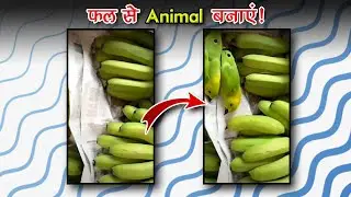 phal se animal banane wala video kaise banaye | AI Image to video transformation
