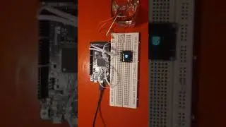 arduino water indicator with oled and NEW arduino!