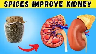 Top 5 Spices to Naturally Lower Creatinine Levels - Improve Kidney Function