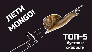 Как оптимизировать работу с MongoDB и ускорить запросы | Большая коллекция - 900К записей