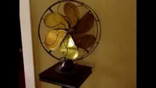 MOV03393