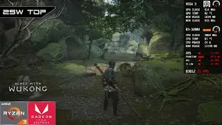 Black Myth: Wukong | AMD Ryzen 3 3200U Vega 3