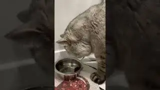 Жрешь? Жрю!