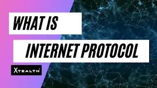 What is internet protocol (IP) | XTEALTH 