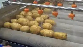 potato bub brsh
