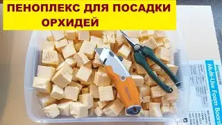 ПЕНОПЛЕКС  ДЛЯ ПОСАДКИ  ОРХИДЕЙ. ЧТО ЭТО И ГДЕ ВЗЯТЬ