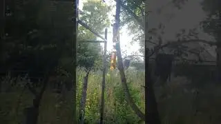 Урожай 2022🤣🤣
