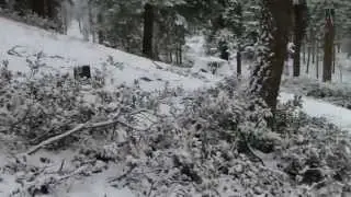 Start of the Skyline Trail 2N10F