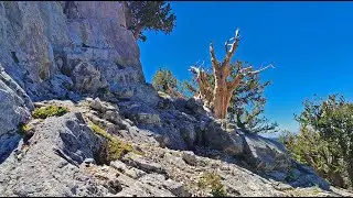 Mummy’s Nose Final Summit Approach from Deer Creek Road | Mt Charleston Wilderness, Nevada