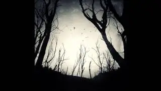 Priscilla Hernandez - Ode To Silence