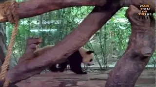 Can You Do This? - The Best Way To Wake Up