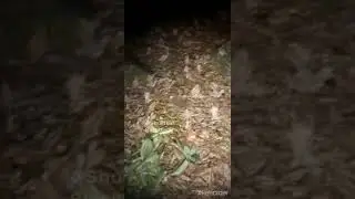 😐😐