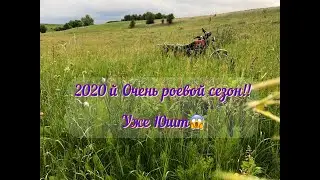 Поймал ещё 5 роев👍 Рои идут как на праздник! Каждый день новый рой пчёл. 2020  роевой сезон 😱