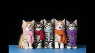 kittens Music Video