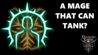 Baldur's Gate 3 - The Mystic Theurge (Build Request)