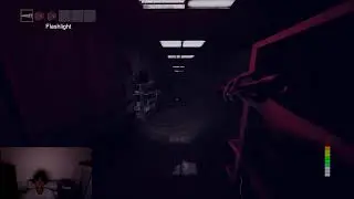 играю panicore с другом впервые