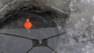 Рыбалка на мотыля. Озеро Павленское