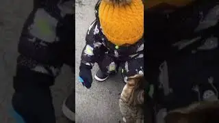 Как у тебя дела? Она сказала заебись👍 