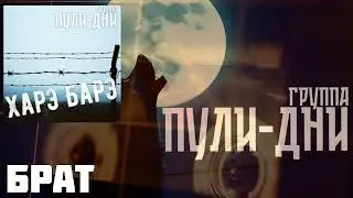 Группа Пули Дни  Брат