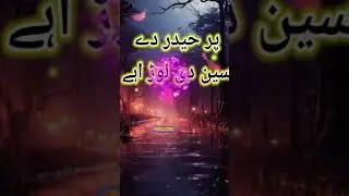 دل بے چین نو چین دی لو ڑ اے#hafizsaqibarifnaqeebi #newkalm #new ##best #urdupoetry