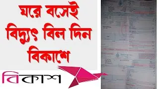 ঘরে বসেই বিদ্যুৎ বিল দিন বিকাশে