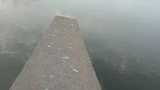 золотая осень в прим ахтарске