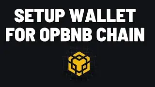 How To Set up your wallet on opBNB