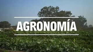 Estudia Agronomía en la UNALM