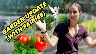 Fairy Garden | Juntin' Around Outdoors