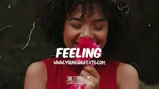 Afrobeat Instrumental 2024 | Oxlade X Ayra Starr X Rema Type Beat 