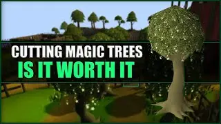 Actual XP Rates of Cutting Magic Trees in OSRS