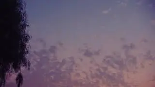 Cabin Fever From The Hill (Official Visualizer)