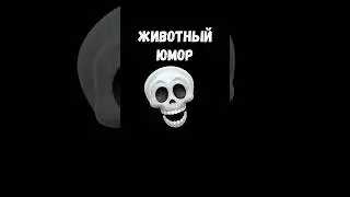 🔥 ЖИВОТНЫЙ МИР