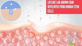Medical Breakthrough - Lifelike lab-grown skin developed from human stem cells