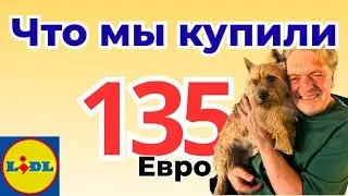 Bulgaria, Lidl: What to buy for 135 euros? Real prices and our receipt