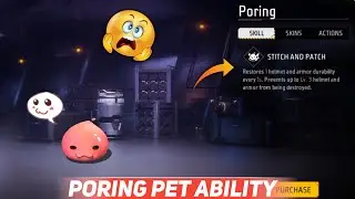 PORING PET ABILITY TEST !! PORING PET क्या करता है !! PORING PET ABILITY AFTER OB46 UPDATE
