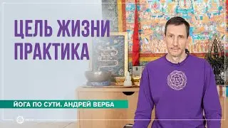 Цель жизни практика. Ответы на вопросы, часть 1