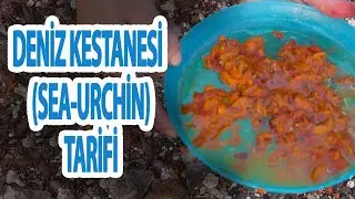Deniz Kestanesi Tarifi | Latmos Mutfak - Yemek Tarifleri