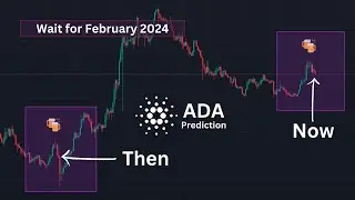ADA Investment: right time is about to come!! February 2024