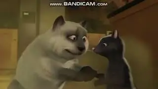 Over the Hedge: Tiger is in love with Stella