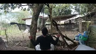 Tres Ejercicios Para Espalda
