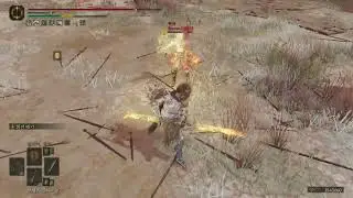 가고일의 쌍날검 DLC 대비 재활치료 Elden Ring PVP 24.01.08
