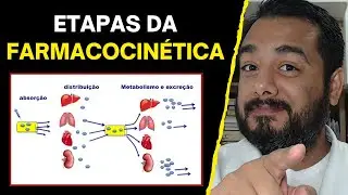 Etapas da Farmacocinética: Absorção, Distribuição, Biotransformação (Metabolização) e Excreção