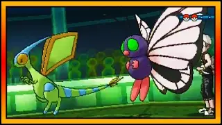 FLY-FREE | Sun Moon WiFi Battles With Viewers Highlight