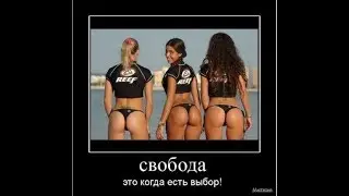 Лучшие приколы,Приколы с животными.Новые приколы.№ The best jokes, jokes with animals.New jokes.