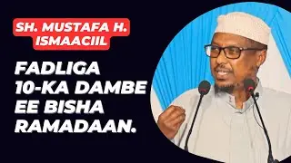 Sh. Mustafa 2024 