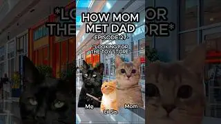 CAT MEMES 🐱 HOW MOM MET DAD EP.27 #relatable #relationship #cat #catlover #shorts