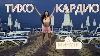 ТИХО КАРДИО ЗА 5 МИН