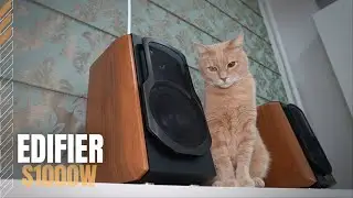 Edifier S1000W Review  - Amazing Quality Hi-Fi Sound!