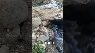 Табиати Рашт Ясманд